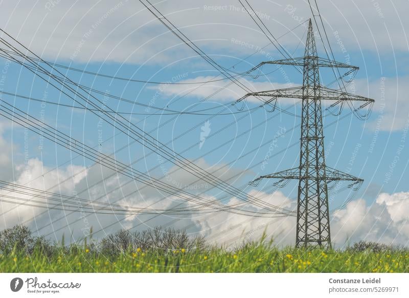 High voltage power lines on mast in spring meadow Tension Electricity pylon stream Energy Energy industry Technology Power transmission Transmission lines Sky