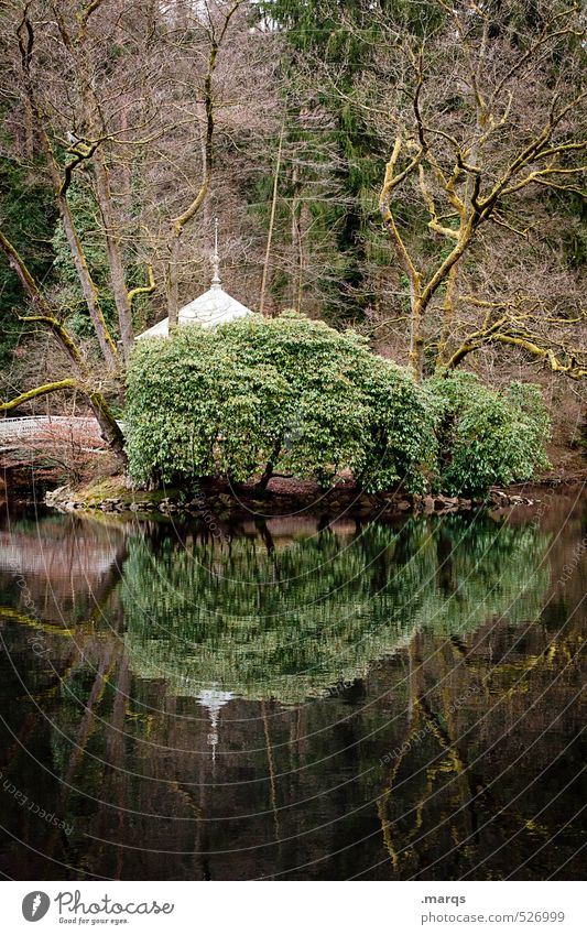 forest lake Trip Environment Nature Landscape Water Autumn Plant Tree Bushes Forest Lakeside Pavilion Simple Beautiful Moody Idyll Calm Colour photo