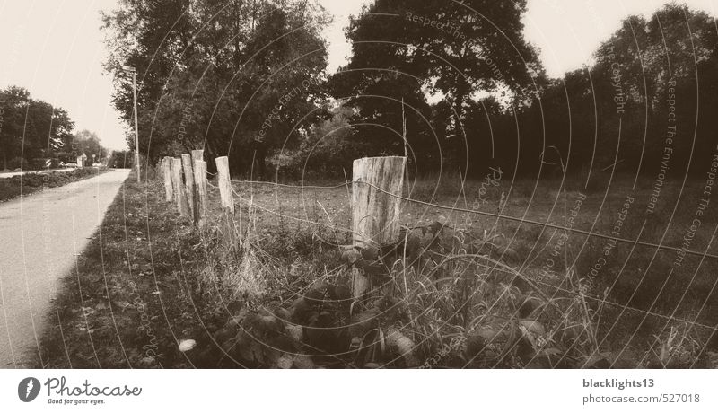 roadside fence Black & white photo Fence Landscape Street Old Abstract Nature Gray Tree Sadness Art Deserted Grass Joist Wire fence Pasture Photography