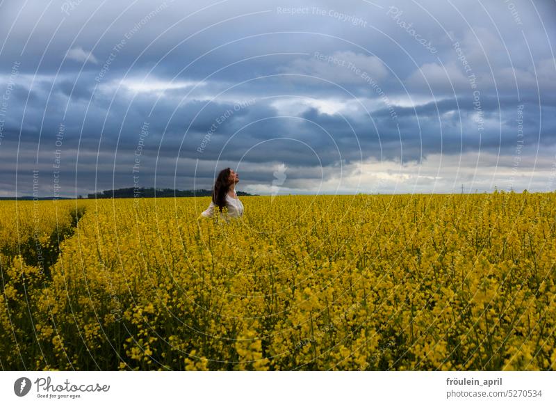 300 Canola Gale Weather Nature close to nature Landscape Sky