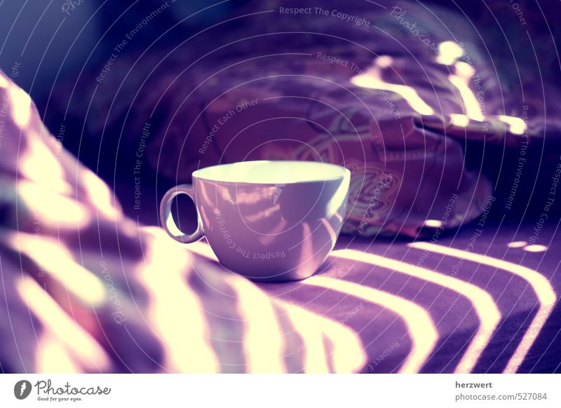 Good morning To have a coffee Moody Arise Coffee To enjoy Relaxation Colour photo Morning Day Light Shadow Sunlight