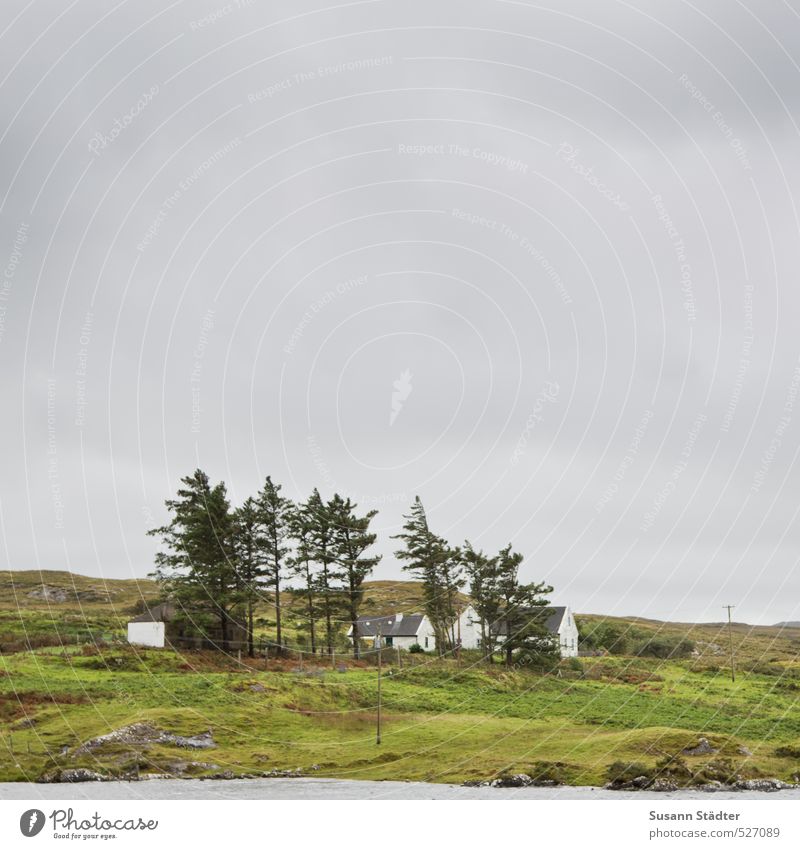 Ireland Nature Landscape Meadow Field Coast Lakeside Village House (Residential Structure) Hut Relaxation Stagnating Attachment Loneliness Canada Hill