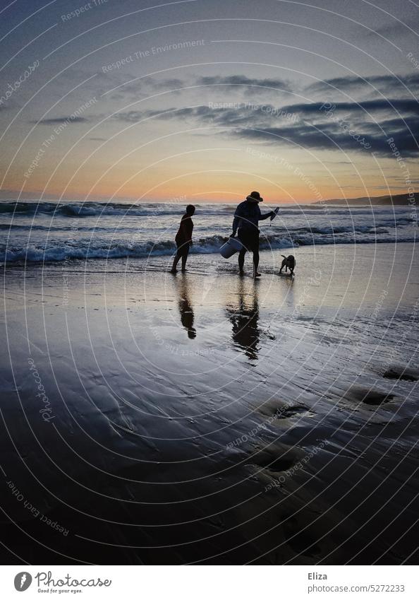 Couple with dog walking on the beach by the sea at dusk people Dog Walk on the beach Dusk blue hour Evening Blue Water Ocean Beach Sunset coast Nature