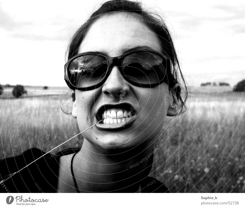 snarl Grass Sunglasses Summer Meadow Teeth