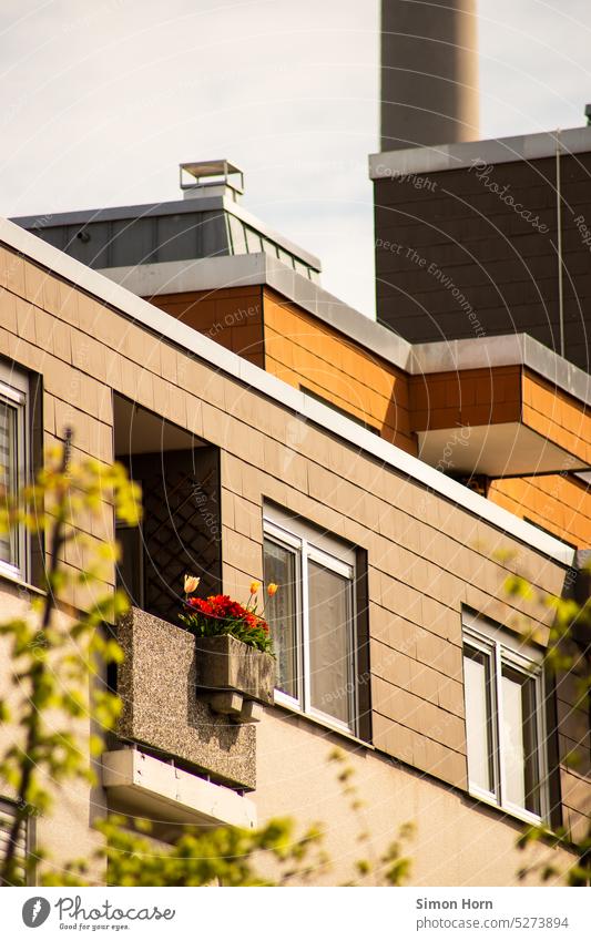 Flower box on a balcony in metropolitan environment flowers Balcony Architecture town planning City Geometry Residential complex Summer in the city Facade