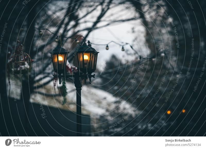 Eyes in the darkness Lantern Park Fairy lights Creepy Night Dark Lighting Evening Deserted Lamp Illuminate Street lighting Exterior shot Town Colour photo