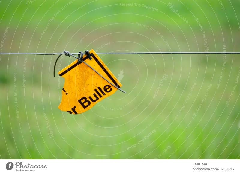 Caution. - Bull on the loose Warning sign esteem peril danger spot danger zone Warning label Dangerous Risk Protection Safety Prohibition sign Agriculture