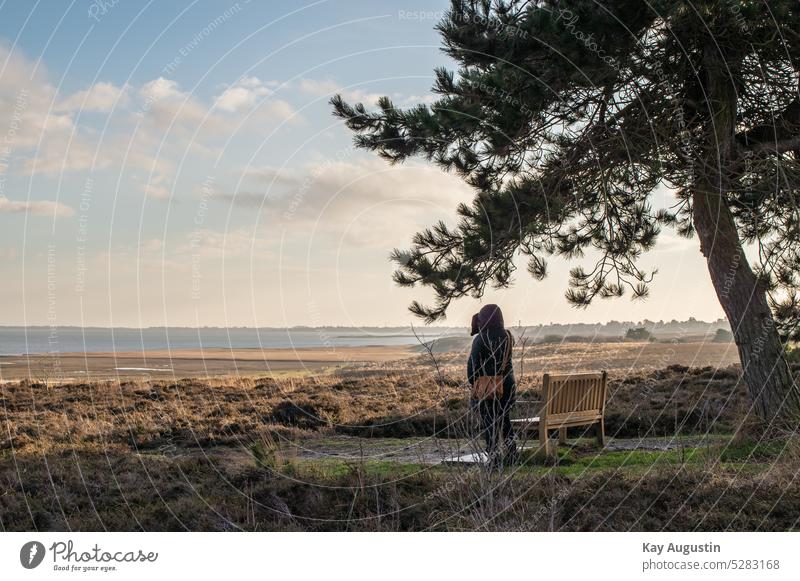 View of the Wadden Sea outlook shady place Mud flats North Sea North Sea coast bench heath landscape heather Wadden Sea National Park heathland Kampen