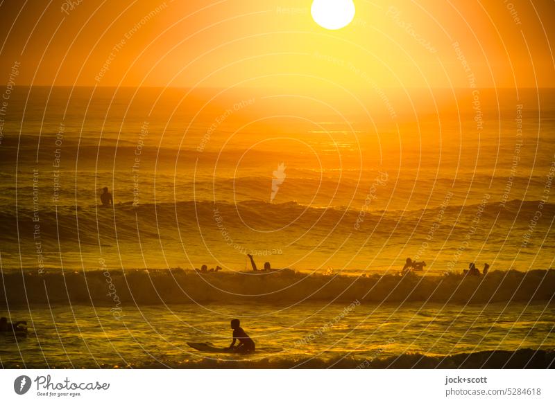 on the waves just after sunrise Surfer Surfing Waves Ocean Aquatics Lifestyle Sports Sunrise Morning Sunlight Back-light Silhouette Nature Romance South Pacific