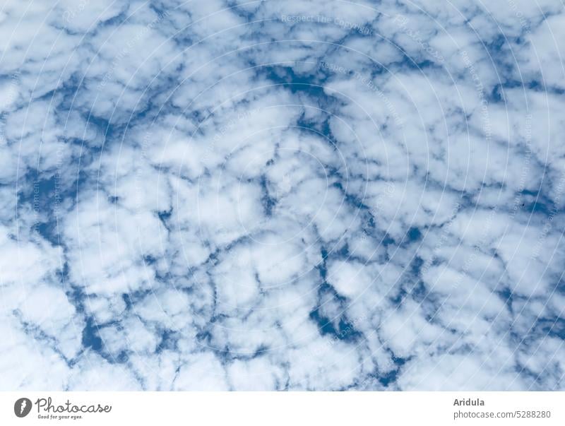 cotton ball clouds photography