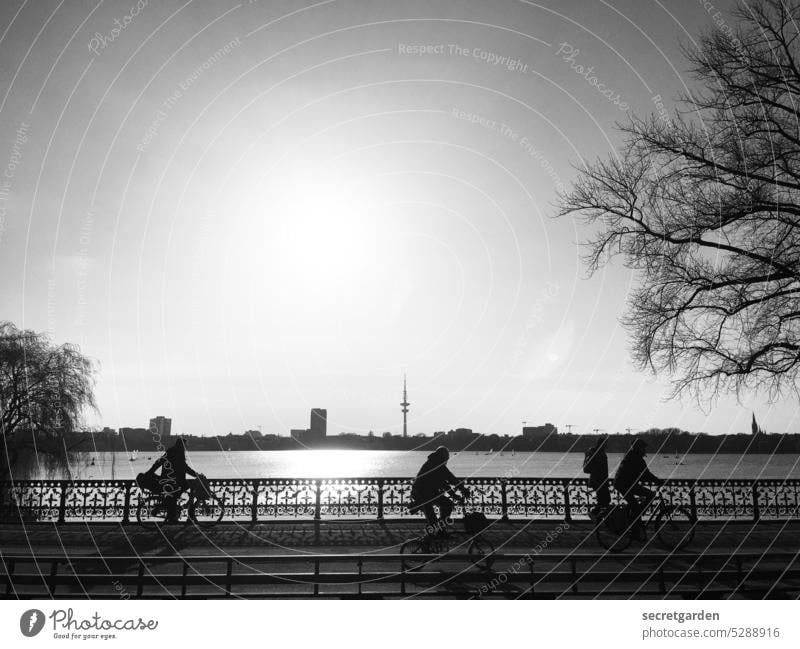 A moment of light. Hamburg Town Cycling Bicycle Bridge Summer Light Water Alster Lake Sky Tree Black & white photo Back-light Horizon Horizontal Vantage point