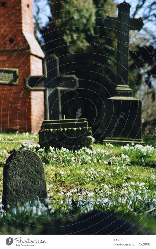 cemetery bells Cemetery Grave Snowdrop Flower Tombstone Kill Funeral Coffin Grief Distress Transience Death Religion and faith Back last rest Peace