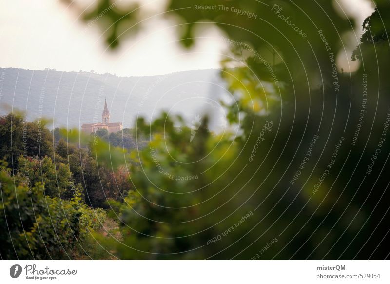 French Style XX Art Esthetic Contentment France Religion and faith Winery Church Green Shallow depth of field Vine Dreamily Village Colour photo Subdued colour