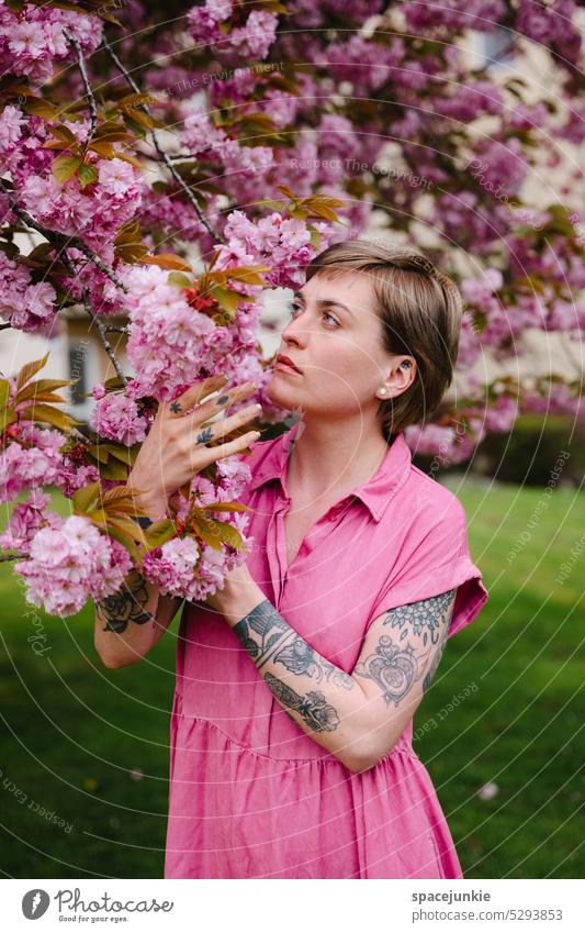 Under the cherry blossom Woman Young woman Dreamily dreaminess blossoms Blossom leave Cherry Cherry blossom Pink Garden Dress Tattoo stop Touch Lawn portrait