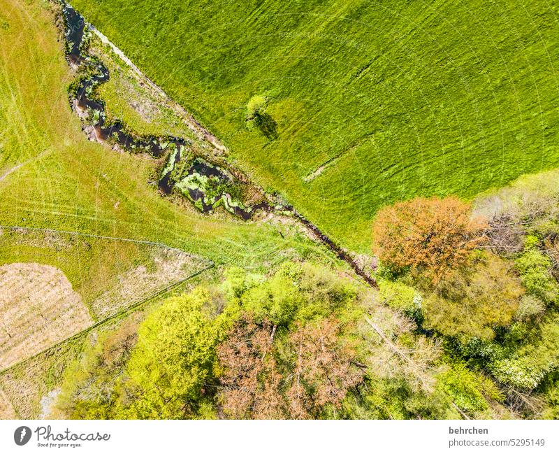 Everything is in flux fields Tracks Field acre Treetop Forest Green Landscape Bird's-eye view drone from on high leaves River Riverbed