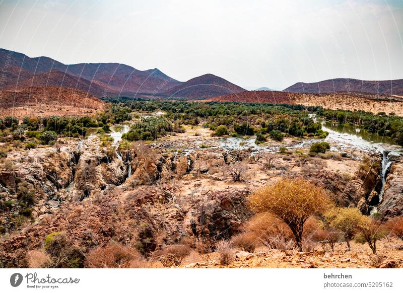 epupa if Warmth Sky especially Adventure Vacation & Travel Landscape Nature Wanderlust Namibia Africa Dry aridity Drought Climate change epupafalls Tree River