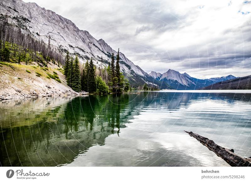 when you become aware of beauty Clouds Alberta Jasper national park Lake trees Landscape Forest Mountain Canada North America Rocky Mountains Nature Fantastic