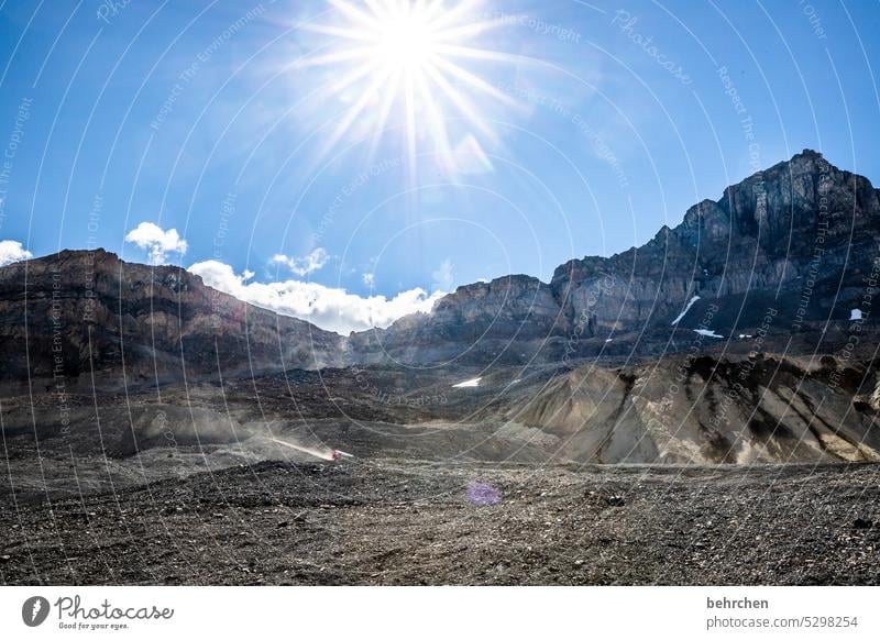 again and again canada trees Rocky Mountains Wanderlust Forest Far-off places Nature Canada Landscape North America