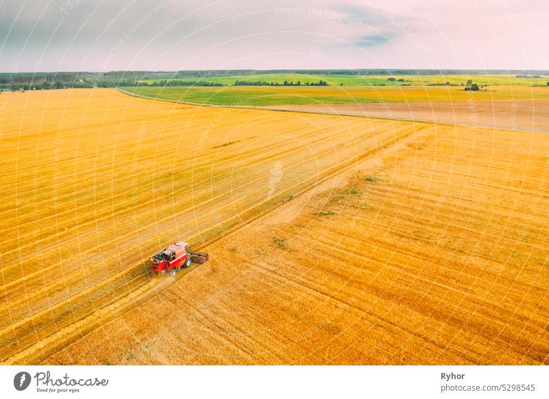 Aerial View Combine Harvester Working In Field. Harvesting Of Wheat In Summer Season. Agricultural Machines Collecting Wheat Seeds aerial aerial view