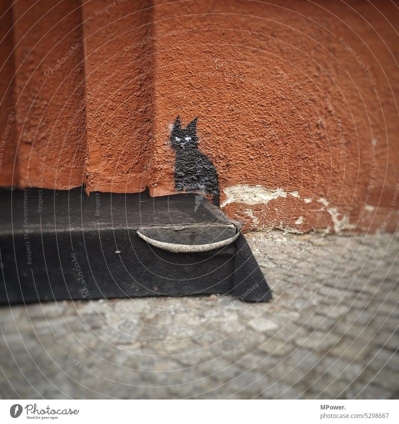 Cat on house wall Painted Exterior shot Wall (building) Colour photo Black cat Painting (action, artwork) Street Deserted portrait One animal Pet