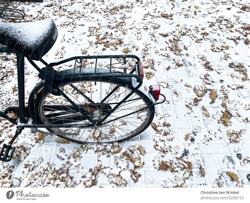 Bicycle in the snow Winter Snow Leisure and hobbies Mobility Wheel Eco-friendly fietse leeze Means of transport Save energy Athletic emission-free Saddle
