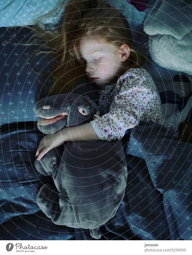 Little girl sleeping with stuffed animal in her arms Sleep asleep Pyjama Sleeping place Bed Duvet Bedclothes cuddly toy Cuddly toy Child Childlike Cute quiet