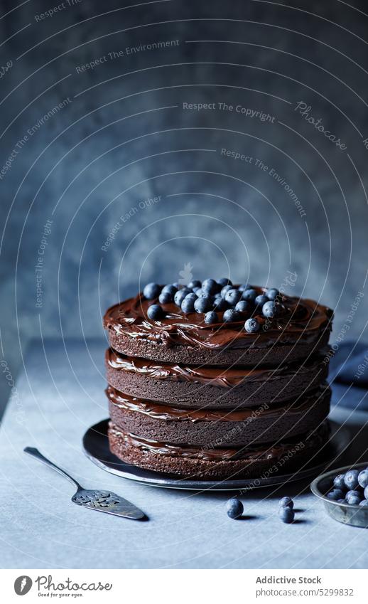 Chocolate cake with blueberries on top dessert chocolate sweet blueberry glaze delicious plate pastry baked serve treat tasty melted chocolate baking yummy
