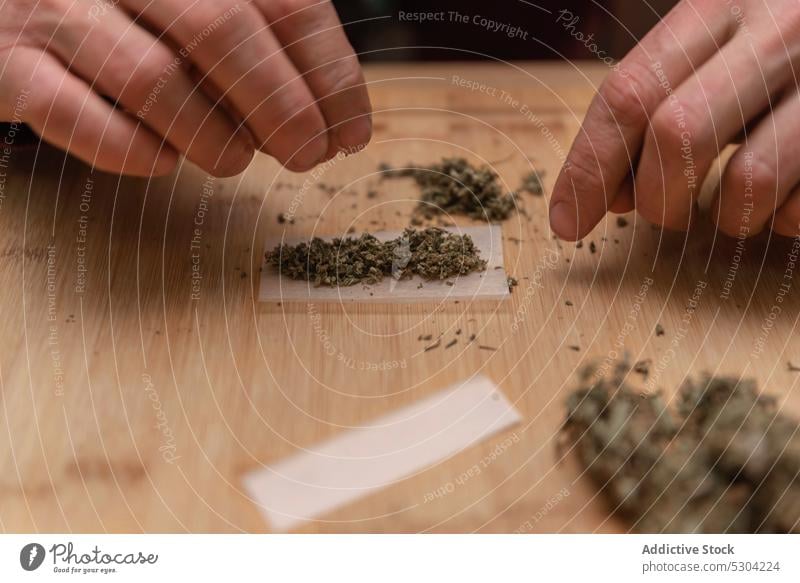 Unrecognizable man preparing dried cannabis for making joint marijuana prepare blunt bud weed smoke dry ganja cannabinoid cbd natural herb male drug process