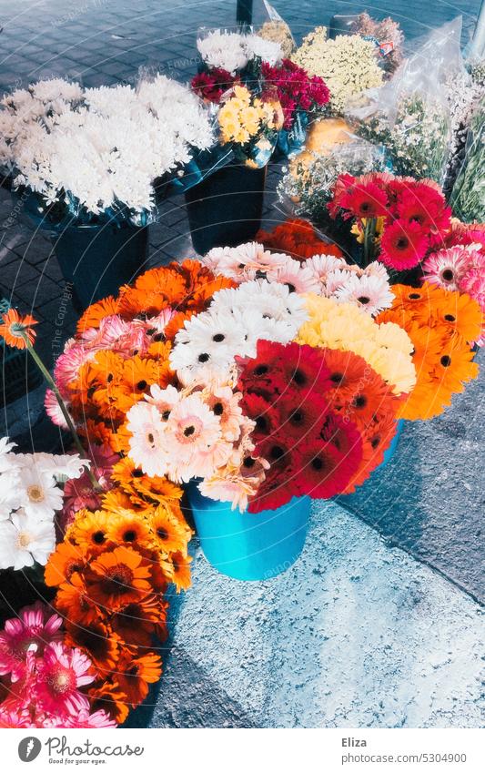 Flowers Flowers at a flower stand in the sunlight flowers Sunlight Flower stall variegated blossoms colourful Gerbera Bouquet Bucket pretty Red Orange White