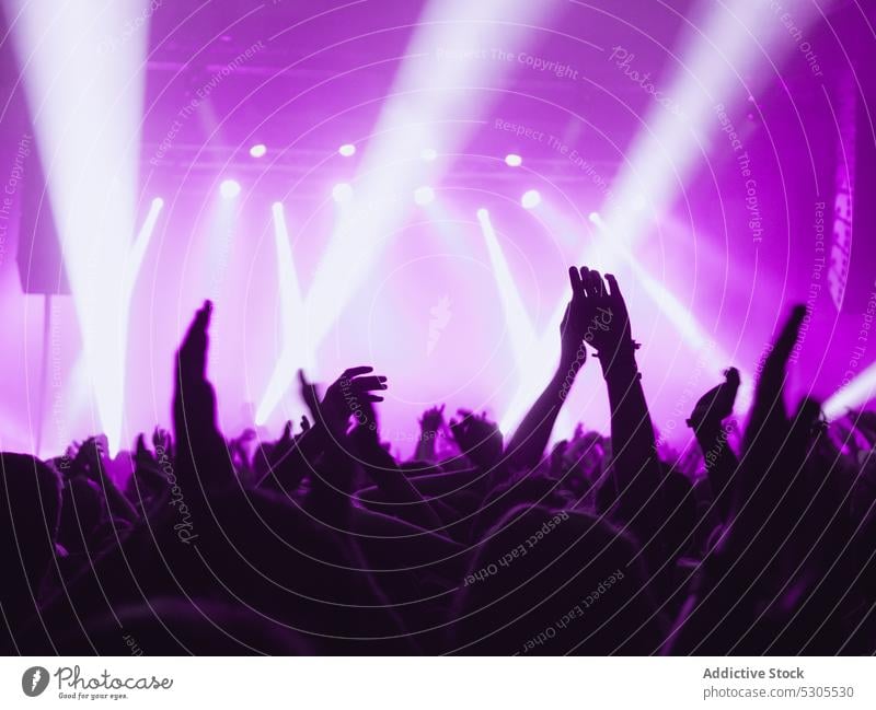 Hands of people on music show crowd raised hands concert violet light illumination party audience festival nightlife event entertainment performance fan club