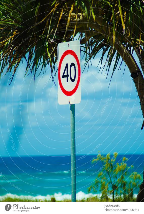40 km/h speed limit in paradise Speed limit Road sign Safety Palm tree Horizon Summer Sunlight Beautiful weather Ocean South Pacific Pacific Ocean bush Sky