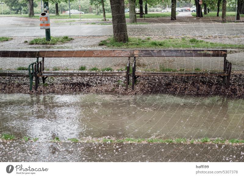 Benches in front of a large puddle with traces of raindrops bench Rain Bad weather Drops of water Spring Park Fresh Wet Nature circles tropics Puddle Abstract