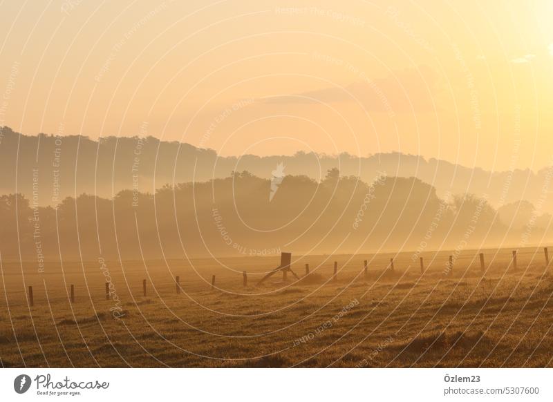 Sunrise in Essen Sunlight morning light Orange Light Sky Colour photo Exterior shot Nature Environment Deserted Field Fence Beautiful weather Calm Idyll Romance