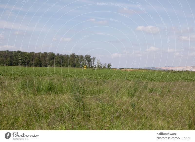 Field at the edge of the forest, Hambacher Forst Far-off places Nature Lanes & trails Street power supply Sky Energy generation view