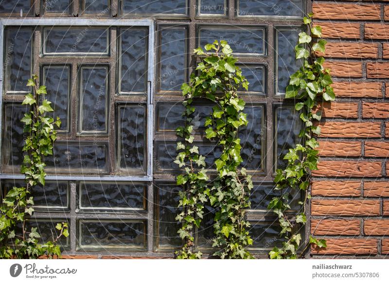 façade Transience Abandoned village Ghost town Architecture abandoned area Germany Village architectural photography ecology Empty Environment forsake sb./sth.