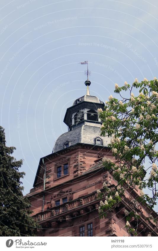 Mainfux-UT |Red sandstone bell tower Sight Old town Aschaffenburg Building Tower Bell tower Glockenspiel Carillion Johannisberg castle trees Chestnut Blossoming