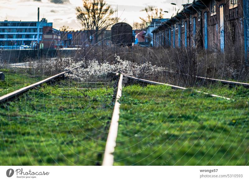 Railroad tracks in the former Magdeburg commercial port trading port Port of Science Colour photo Exterior shot Day Port conversion Museum harbour Deserted