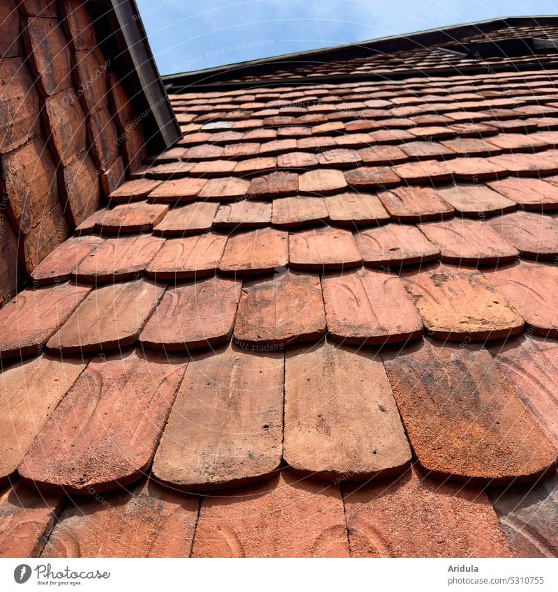 Old roof tiles on house wall Roofing tile brick Weathered clay tiles Building House (Residential Structure) Historic Structures and shapes Tiled roof