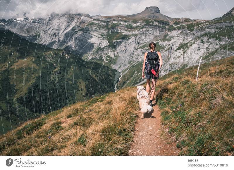 Hiker with dog in the mountains hike Landscape Hiking Nature Dog Adventure High mountain region Mountain Exterior shot Vacation & Travel Hiking trip Tourism