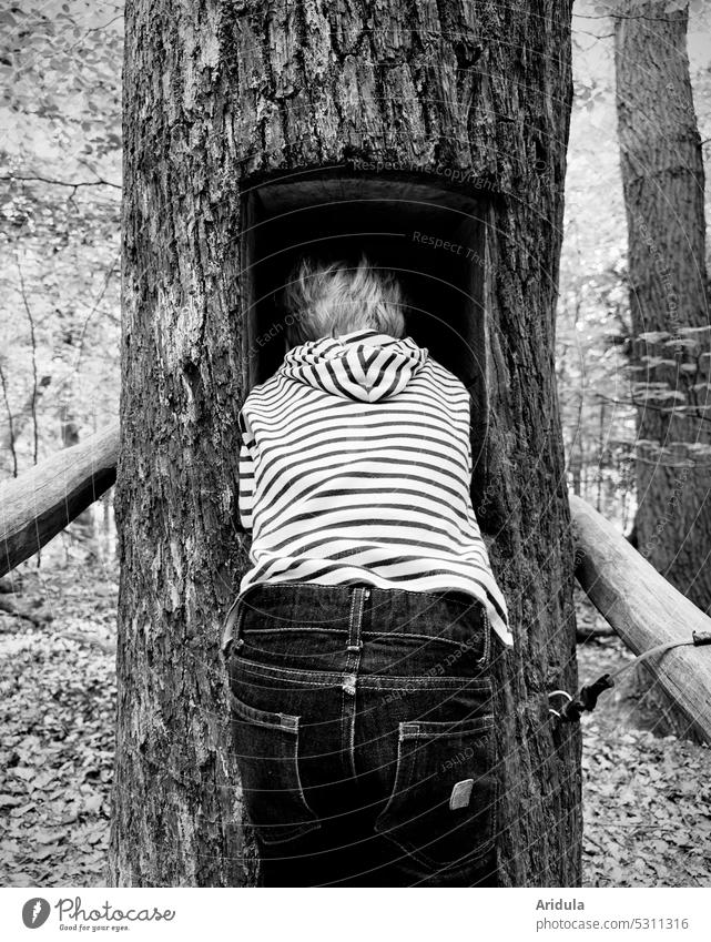 Child puts his head in rectangular tree hole b/w Infancy Tree trees Forest Hide eavesdrop Tree sounds Tree trunk Wood Listening Nature forest bath Relaxation