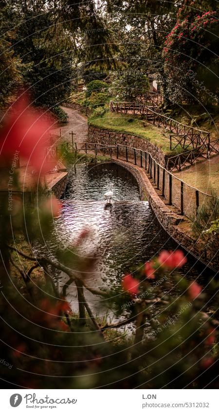 Madeira Island Portugal Hiking along the levadas artificial watercourse Levadas Channel Nature Tourism Europe Portuguese destination vacation Landscape