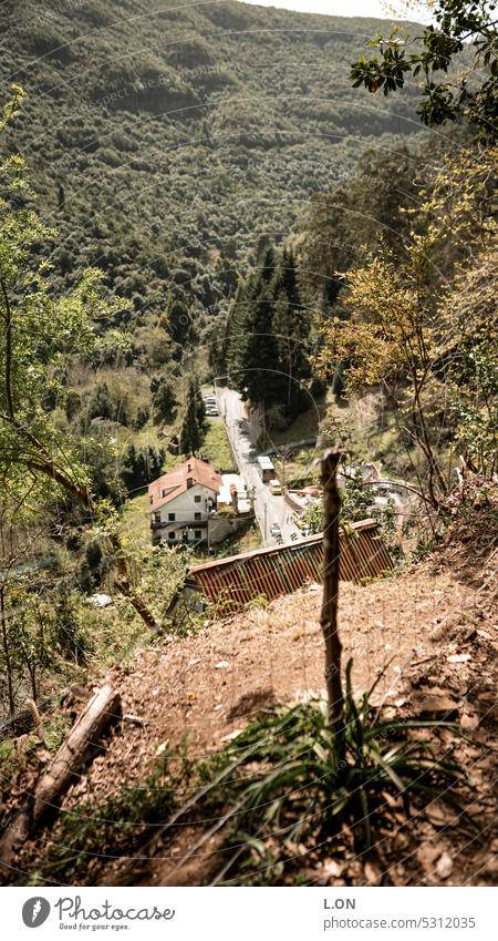 Madeira Island Portugal Hiking along the levadas artificial watercourse Levadas Channel Nature Tourism Europe Portuguese destination vacation Landscape