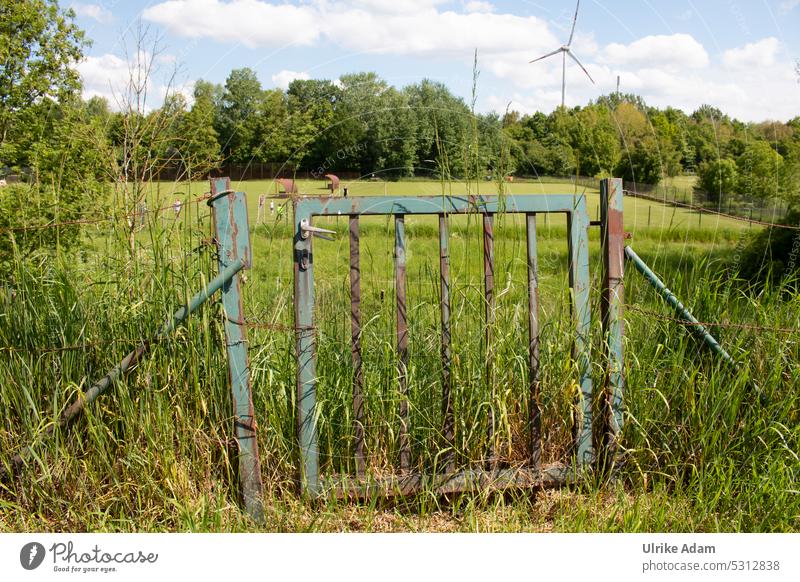 Gateway to nature Border Fence Grating Varnish tapped Old worn-out locked gate Metal door Goal corrupted Broken Trashy lines detail Entrance Wire fence