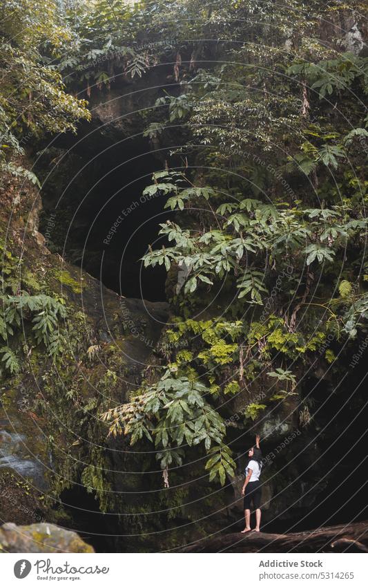 Woman standing on fallen tree trunk woman forest balance nature azores region mountain female water tourist summer traveler landscape trip journey green tourism