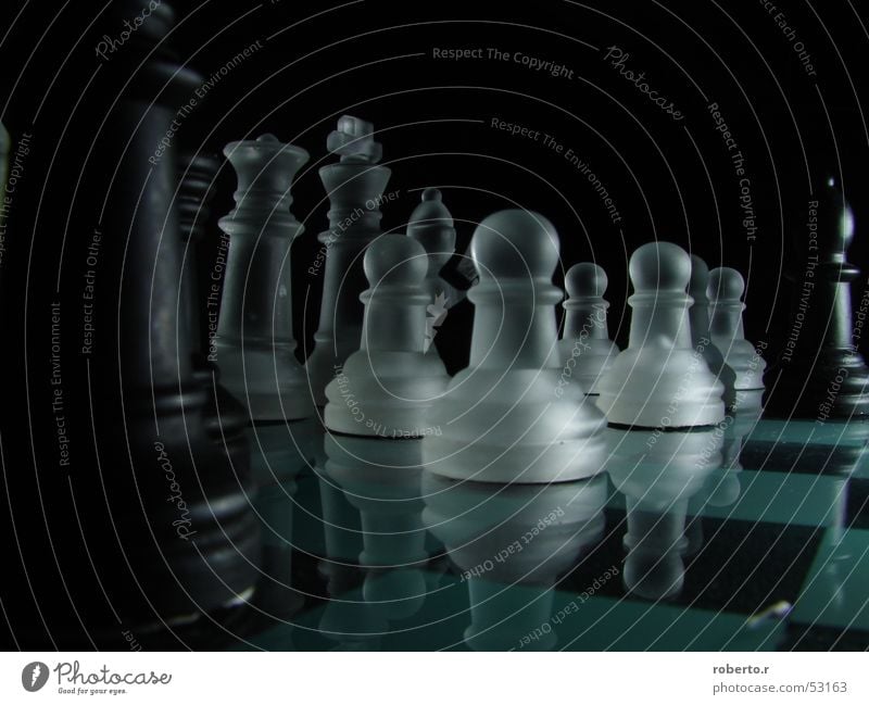 Scacco_2 King White Black Chessboard royal Chess piece