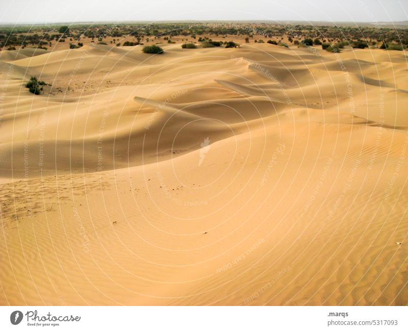 desert Landscape Nature Warmth Sand Desert Far-off places Summer Hot Drought Dry desert landscape wide Horizon Adventure sand dune Plant Vacation & Travel Wild