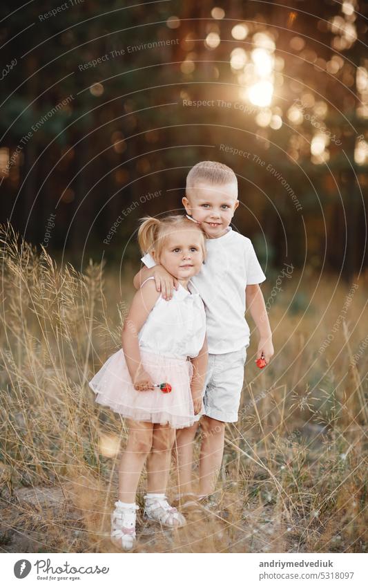 sister and brother are playing, hugging in the field on summer. children playing outdoors and smiling on sunset. happy family. happy childhood joy kid leisure