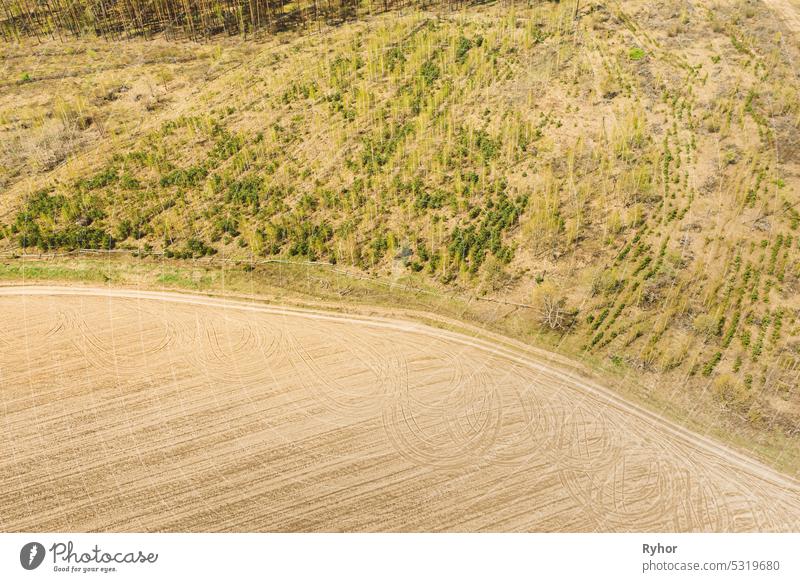 Aerial View Of Minimalistic Rural Landscape. Bird's-eye View Of Deforestation. Beginning Of Agricultural Spring Season. Tractor Tracks On Plowed Field Surface From Agricultural Machinery. Drone View