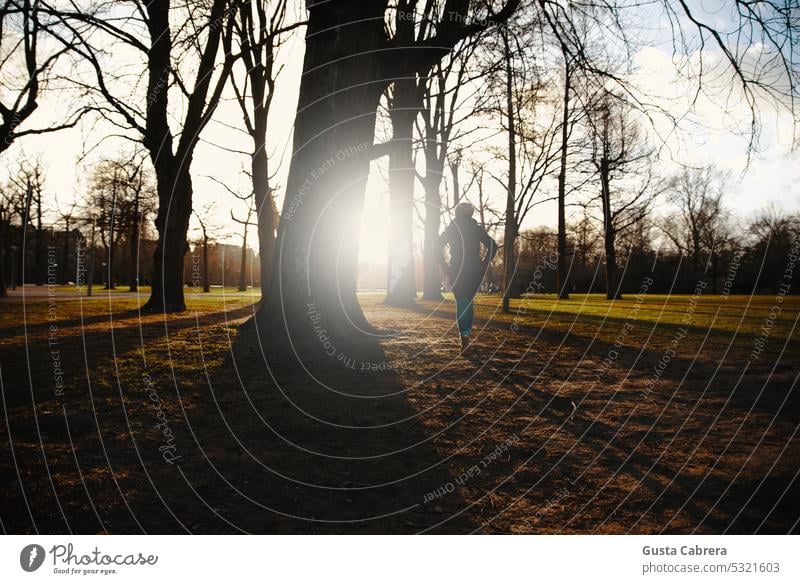 Woman walking in a park at sunset. Sunset sunset light sunset landscape Twilight Park Exterior shot Silhouette Walking Colour photo Sunlight Horizon Clouds