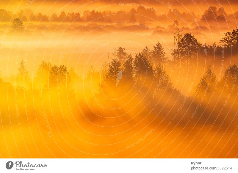 Mysterious Morning Time. Enchanted Morning Sun Shines On Plain. Sunrise Natural Background. Aerial View Amazing Misty Plain Landscape. Morning Fog Illuminated By Sun Covers Plain Landscape